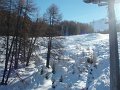 pila 11 rid (53)
